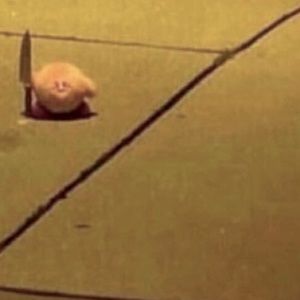 Meet your Posher, Kiara